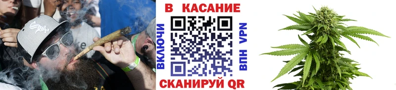 Где купить Кудымкар АМФ 