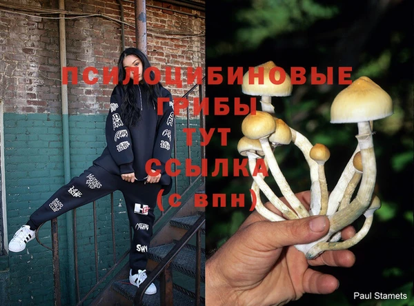 мяу мяу мука Балахна