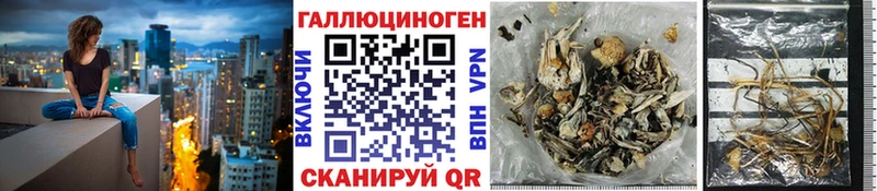 Псилоцибиновые грибы Cubensis  Кудымкар 